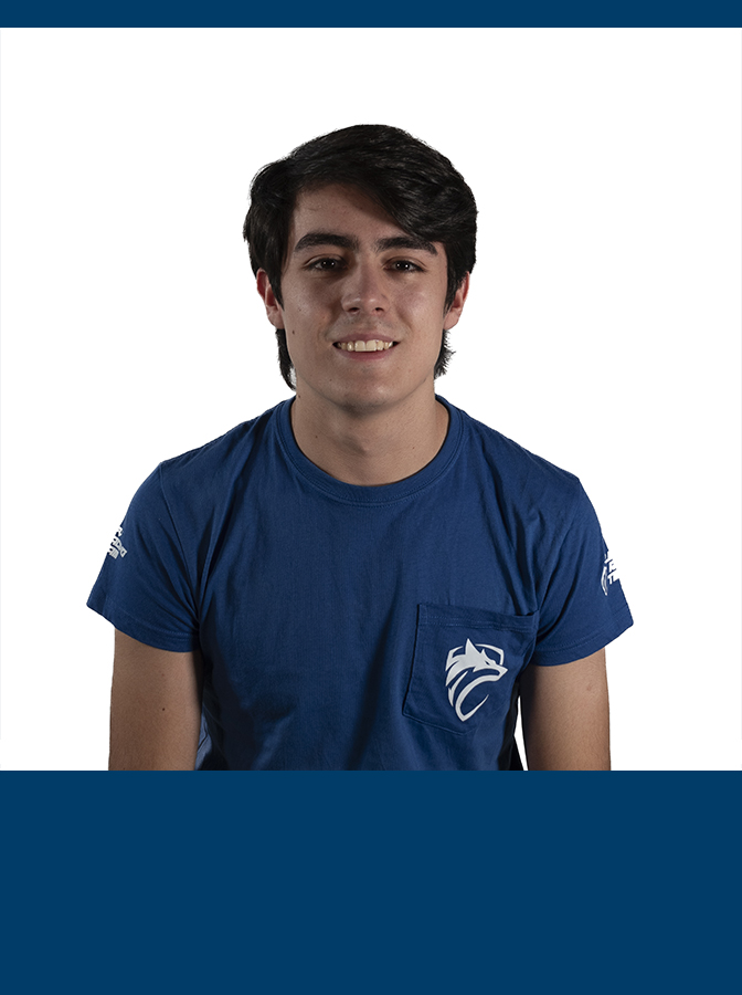 MiguelOrdoñez_electronics web
