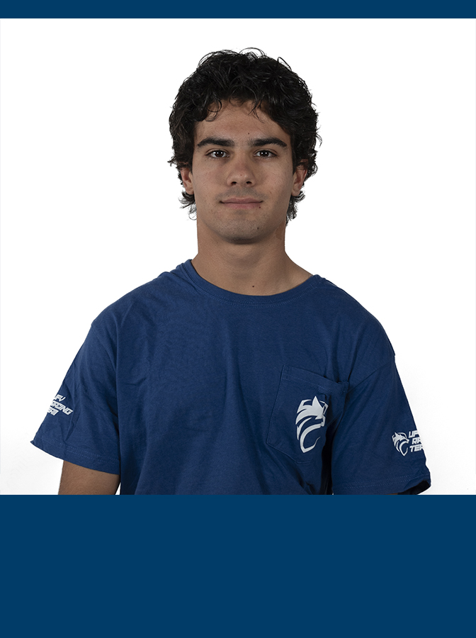 PolMeseguer_Dynamics web